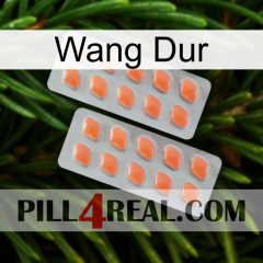 Hard Wang 27